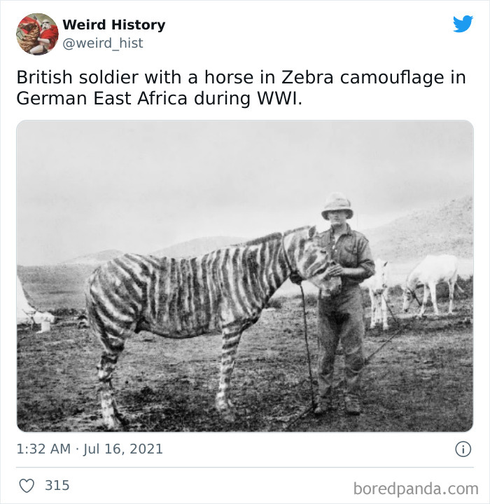 British soldier standing next to a horse painted with zebra camouflage during WWI in German East Africa historical weird history fact.