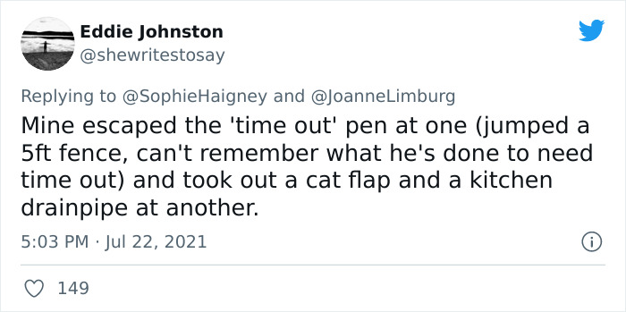 Doggos-Expelled-Daycare