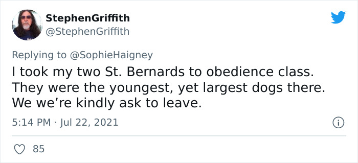 Doggos-Expelled-Daycare