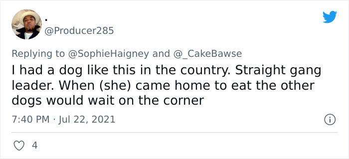 Doggos-Expelled-Daycare