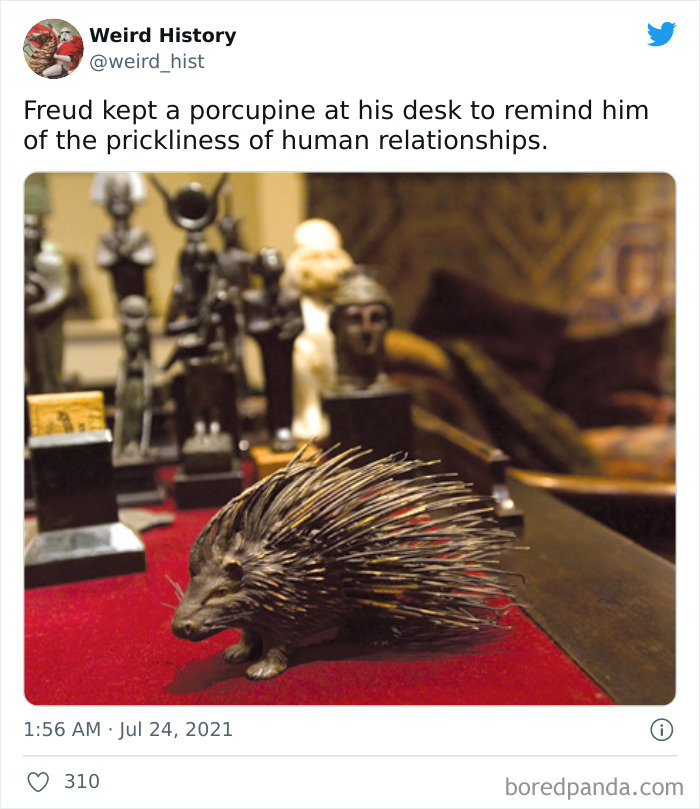 Porcupine figurine on a desk surrounded by antique artifacts illustrating weird history facts and trivia collection.