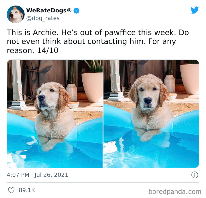 Dog-Rates-Twitter
