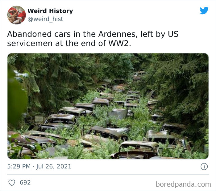 Abandoned cars overgrown in the Ardennes forest, a weird history fact from the end of World War 2.