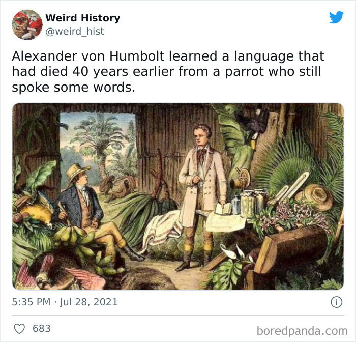 Illustration of Alexander von Humboldt learning a dead language from a parrot, featuring weird history and trivia facts.
