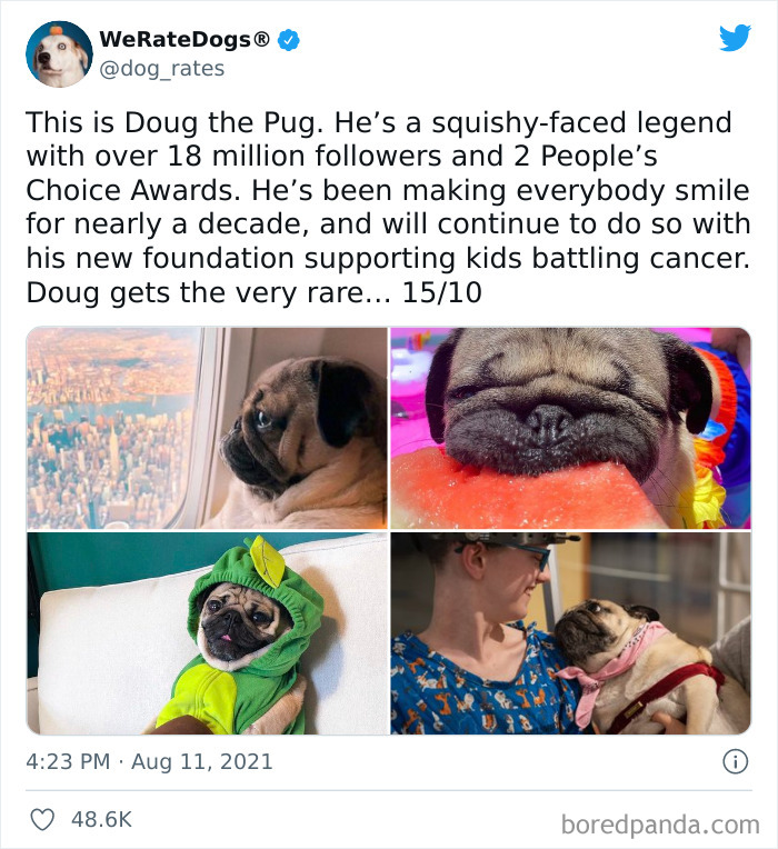 Dog-Rates-Twitter