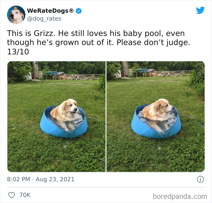 Dog-Rates-Twitter
