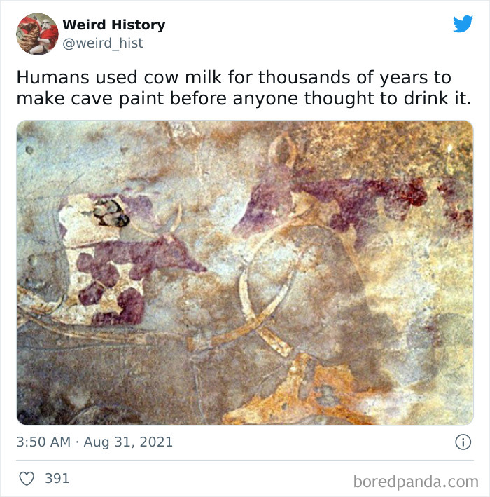 Ancient cave painting showing use of cow milk in early art, a weird history fact for history and trivia lovers.