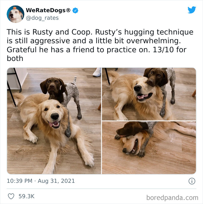 Dog-Rates-Twitter