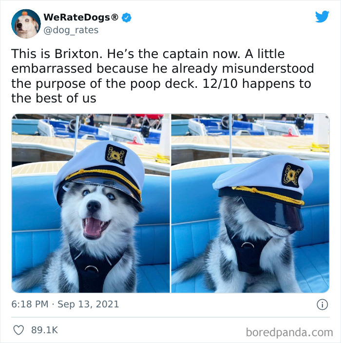 Dog-Rates-Twitter