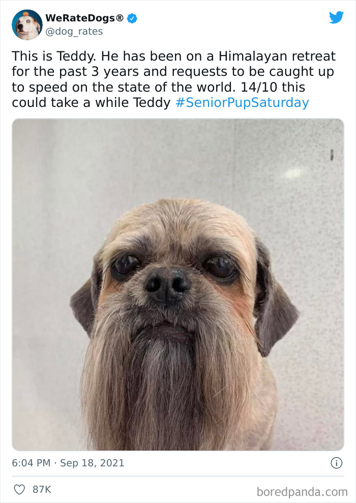 Dog-Rates-Twitter
