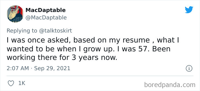 Honest-Job-Application-Answers-That-Got-People-Hired