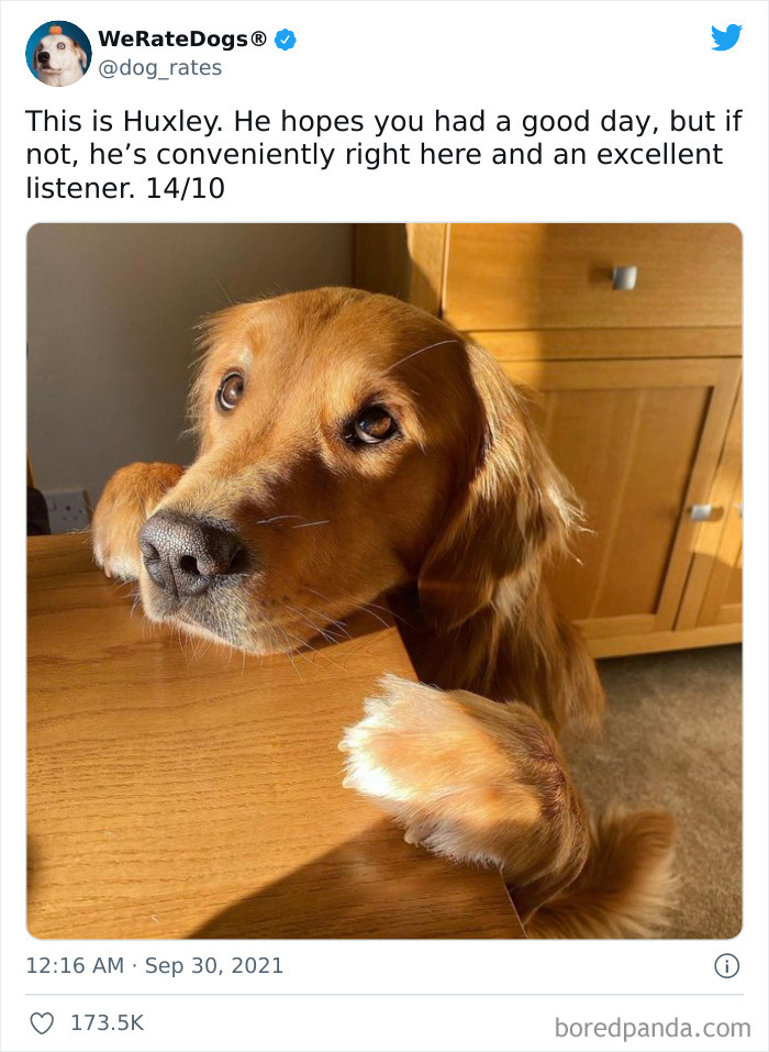 Dog-Rates-Twitter