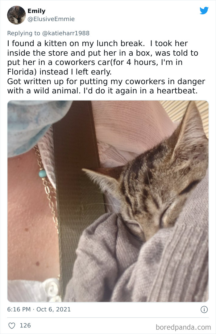 Employees-Trouble-Work-Weirdest-Reasons