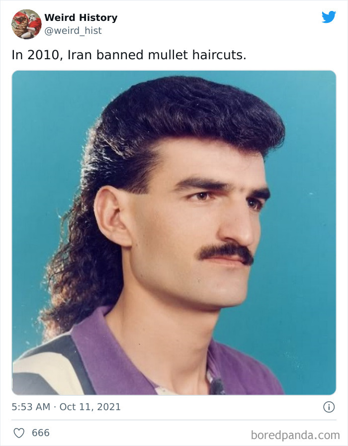 Man with a mullet haircut and mustache against blue background illustrating weird history facts about bans on hairstyles.