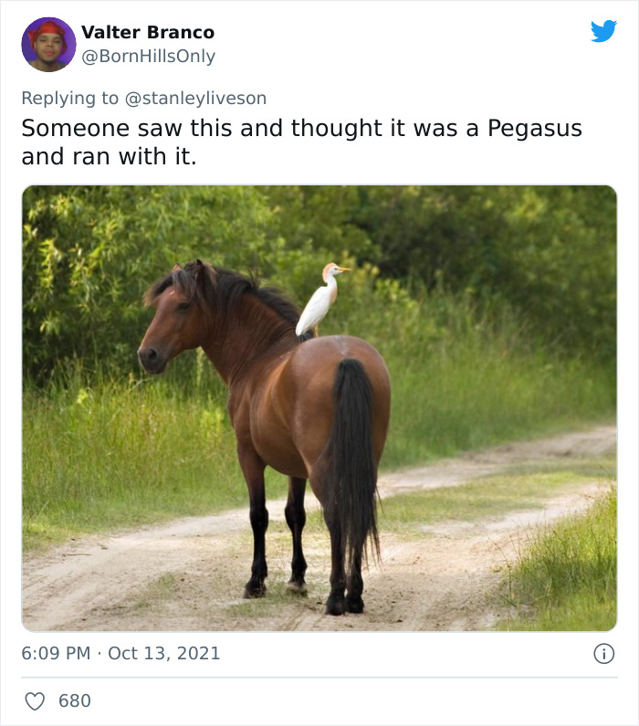 Twitter-Myths-Started-Because-No-Glasses