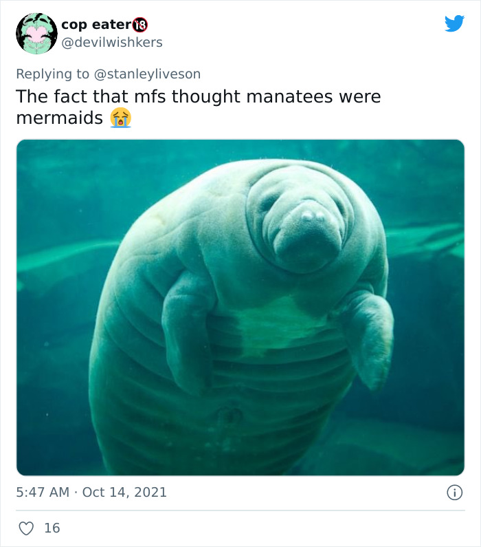 Twitter-Myths-Started-Because-No-Glasses