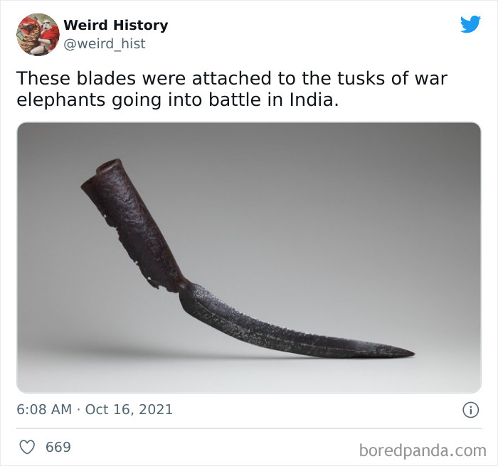 Rusty iron blade once attached to war elephant tusks used in historic Indian battles, showcasing weird history facts.