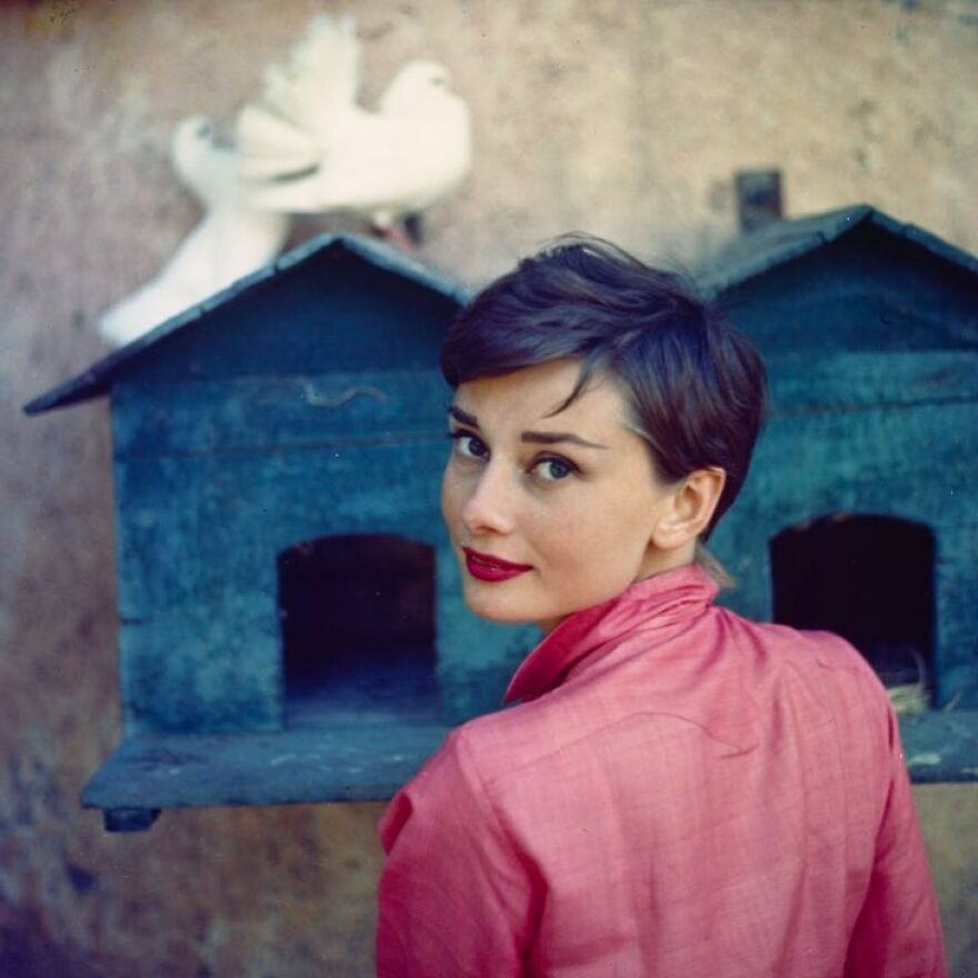 Audrey Hepburn