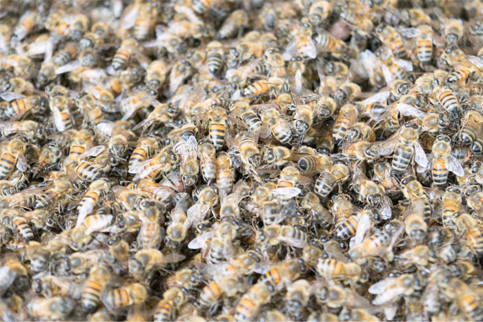 30 Incredibly Bizarre Things People Saw Happen Yet Others Refuse To Believe They Did