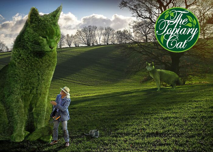 This 75-Year-Old Artist Creates Edits Of Bushes In Honor Of His Deceased Cat