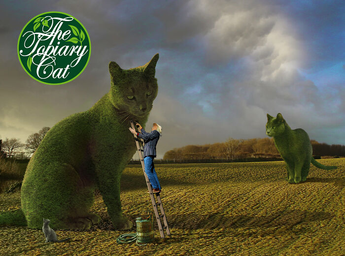 The 75-Year-Old Artist Has Been Creating Giant And Surreal Bushes In Honor Of The Deceased Cat For 5 Years (73 Pics)-Interview