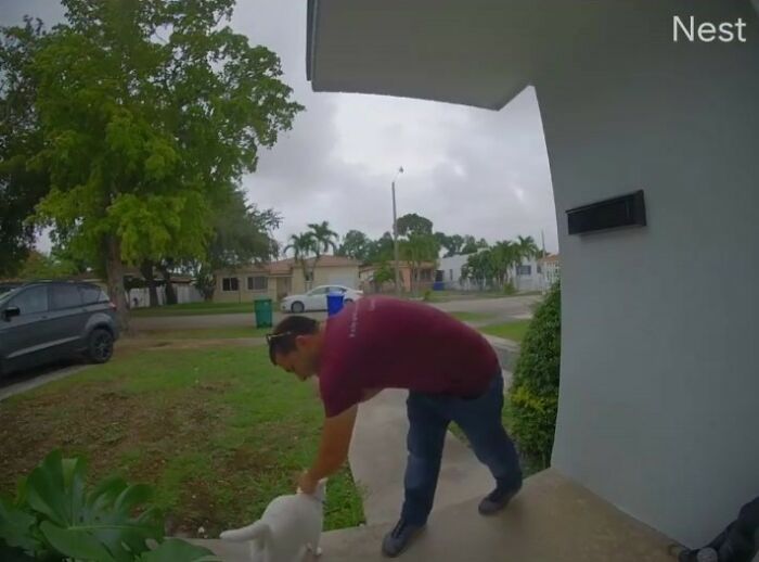Meet Tuna, A Cat Who Befriends Delivery Men And Her Owner Posts About It On Instagram