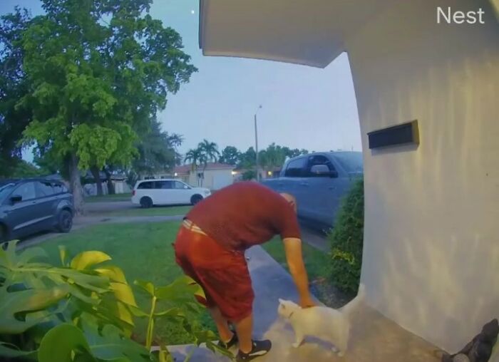 Meet Tuna, A Cat Who Befriends Delivery Men And Her Owner Posts About It On Instagram