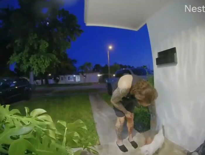 Meet Tuna, A Cat Who Befriends Delivery Men And Her Owner Posts About It On Instagram