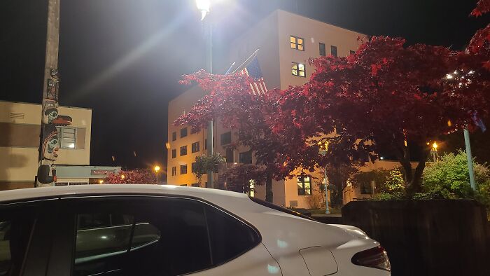 Totem Poles, Federal Building And Lovely Maple Trees In Ketchikan Ak, While I Wait For Deliveries.