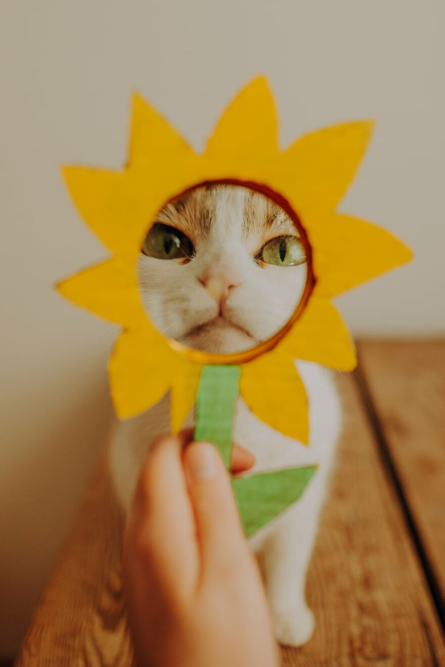 I Capture Beautiful Emotions Of My Two Favorite Models