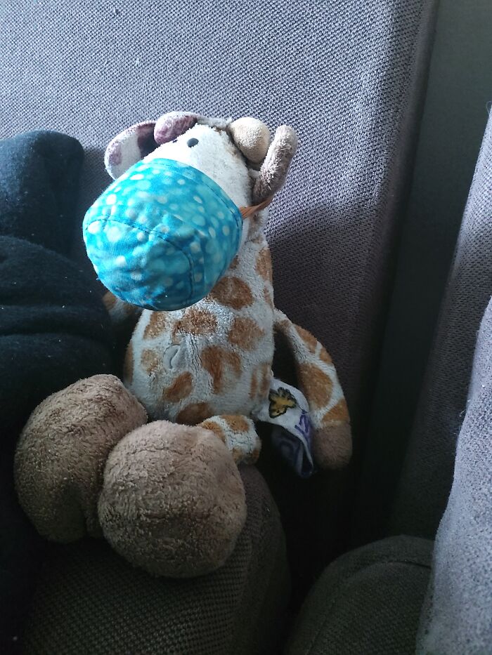 Meet Nick He Is Like The 5th Or 6th One I've Had Is Type Since I Was Two I Think. And The Brand Niki No Longer Make His Type