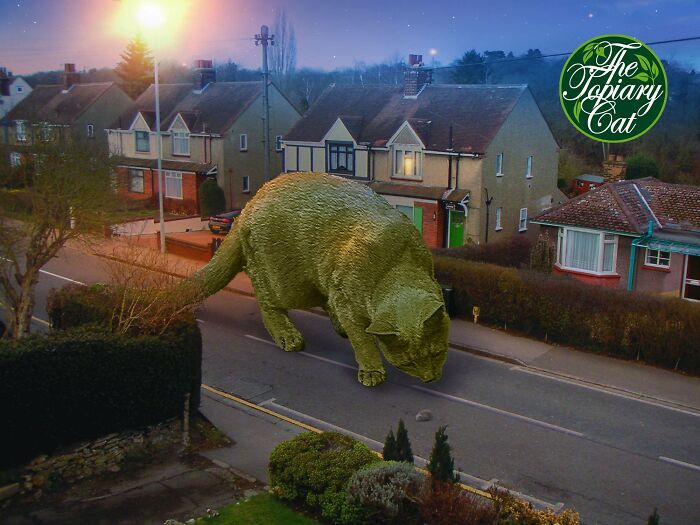 This 75-Year-Old Artist Creates Edits Of Bushes In Honor Of His Deceased Cat