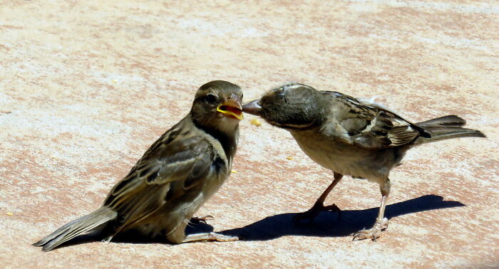 Everyone Enjoys Starbucks...