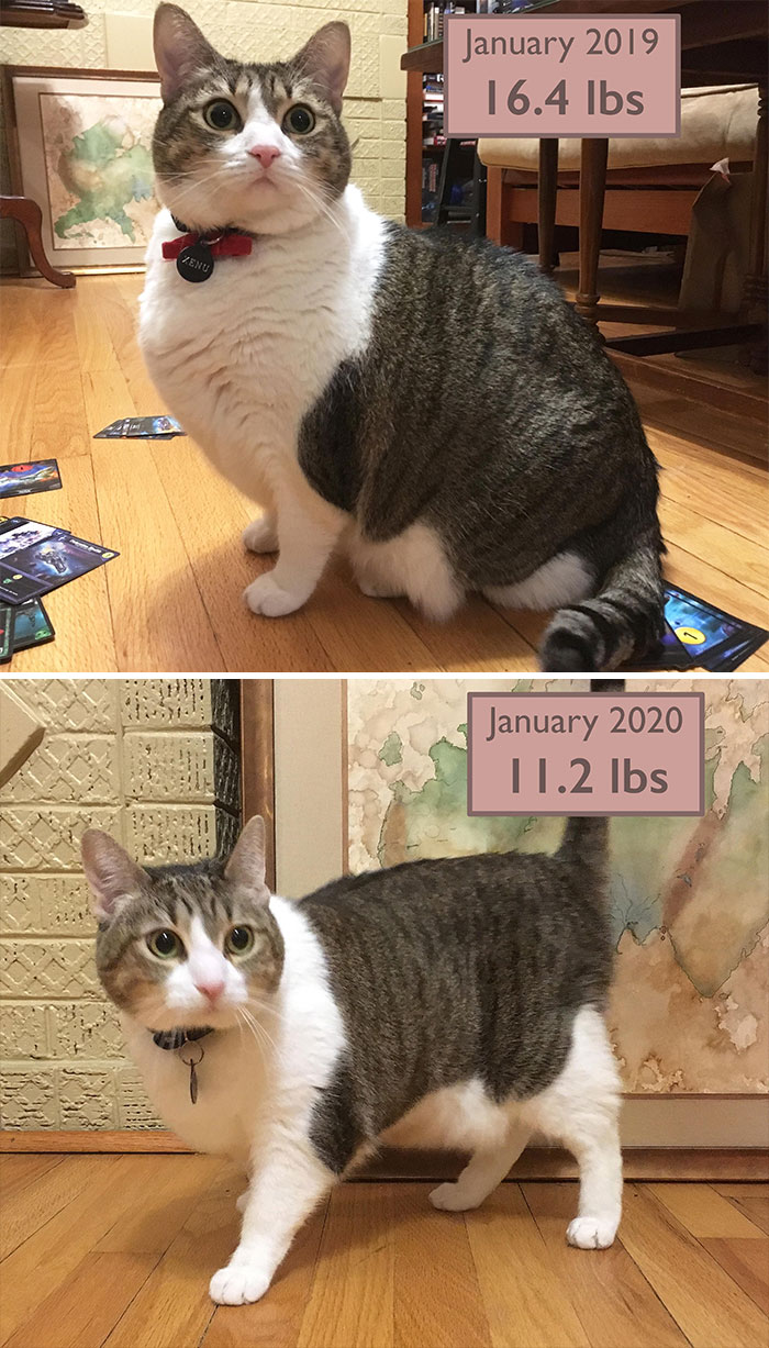 One Year Of Dechonkification