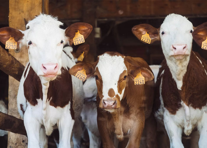 30 Things That Super Rich People Actually Spend Their Money On, As Shared By People Who've Worked For Them