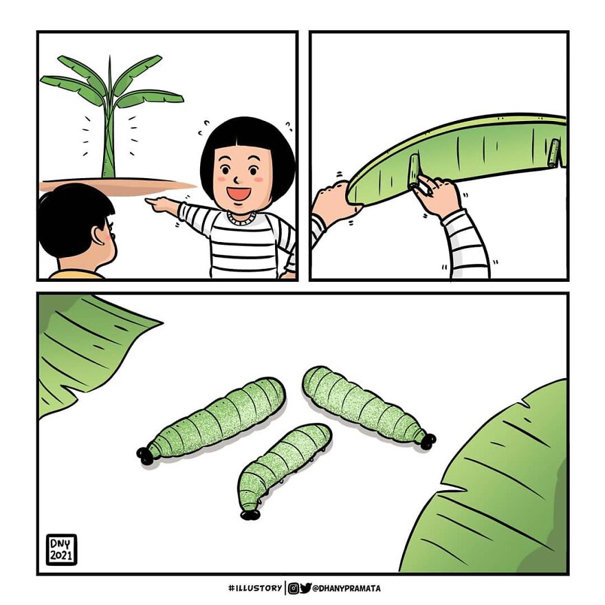 Hunting Caterpillars