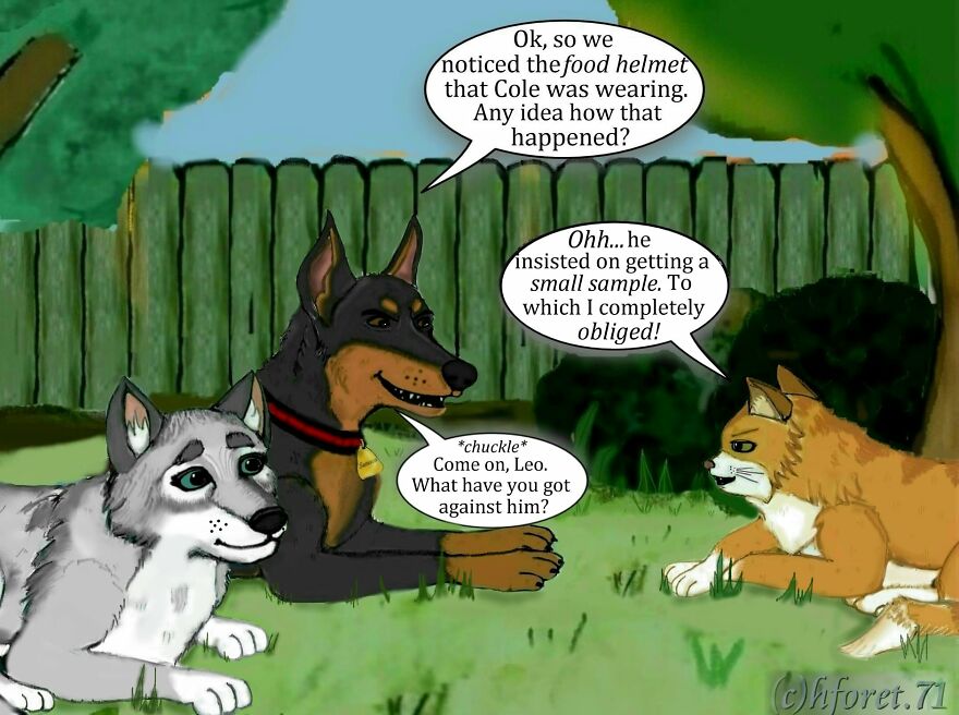 "Boundaries..." "Boundaries..."