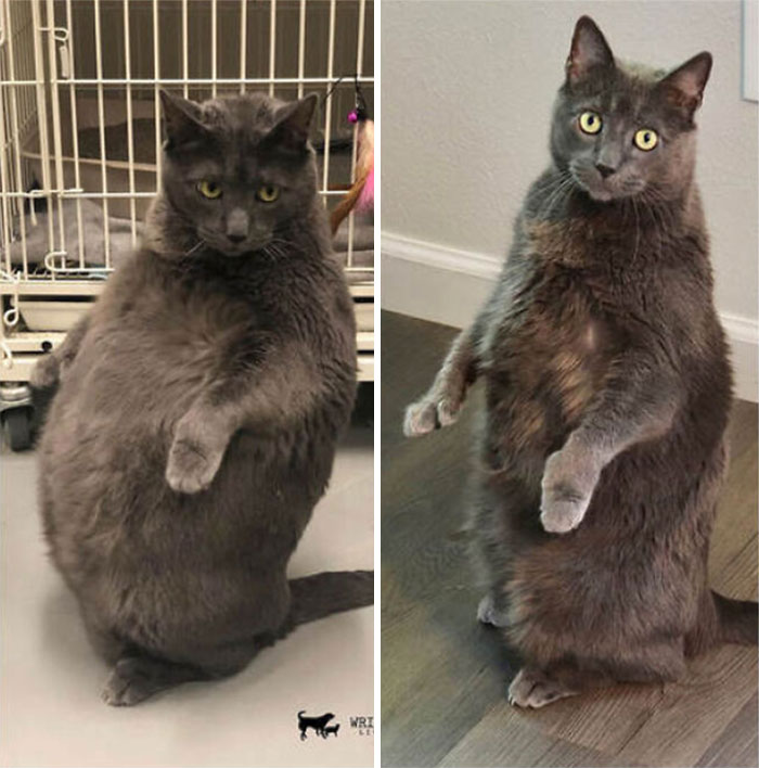 Bruno dejó de ser gordito