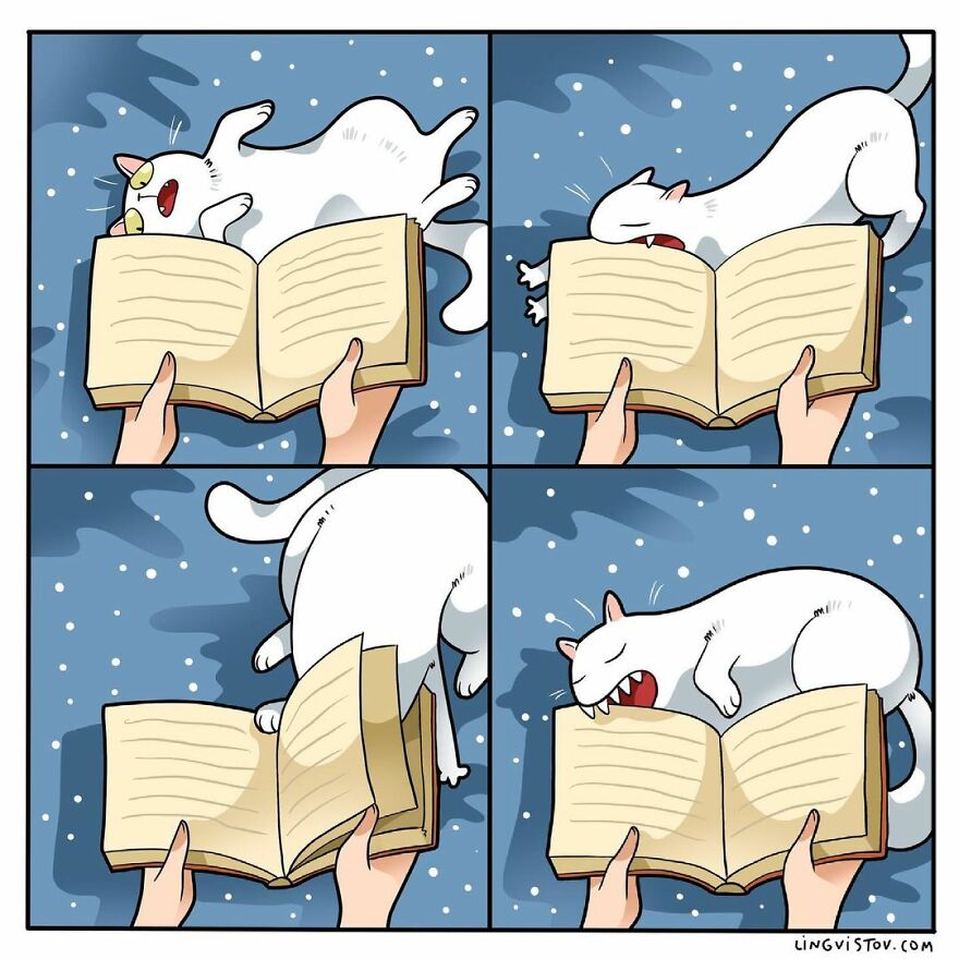 Comics That Those With A Cat Will Understand Perfectly (86 New Pics)