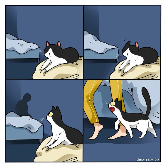 Artist Illustrates What It's Like To Live With A Cat (30 New Pics)