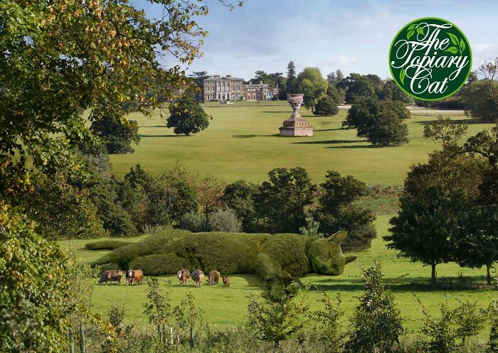 This 75-Year-Old Artist Creates Edits Of Bushes In Honor Of His Deceased Cat