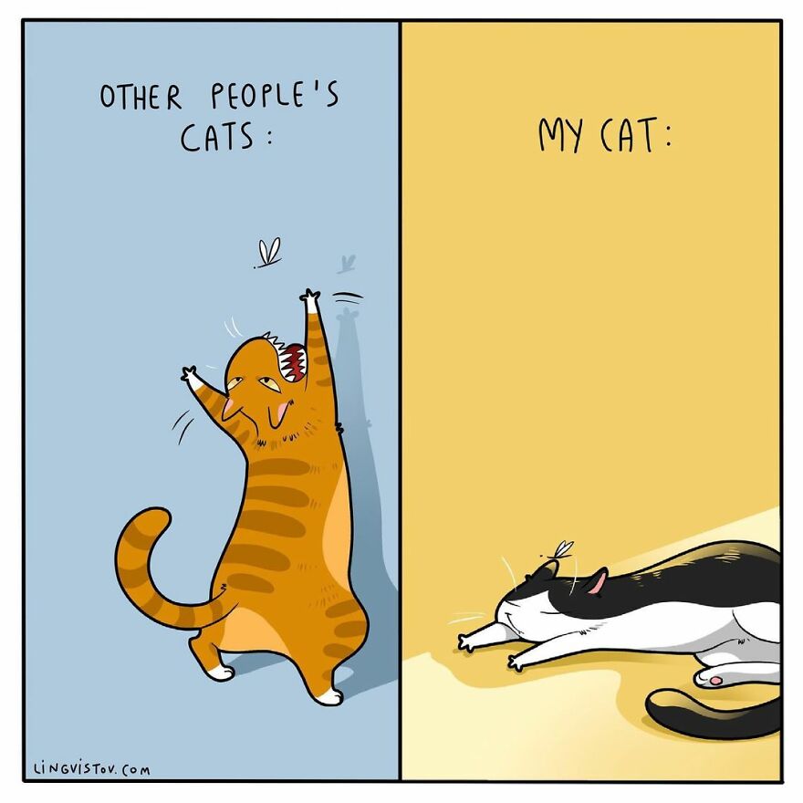 Comics That Those With A Cat Will Understand Perfectly (86 New Pics)