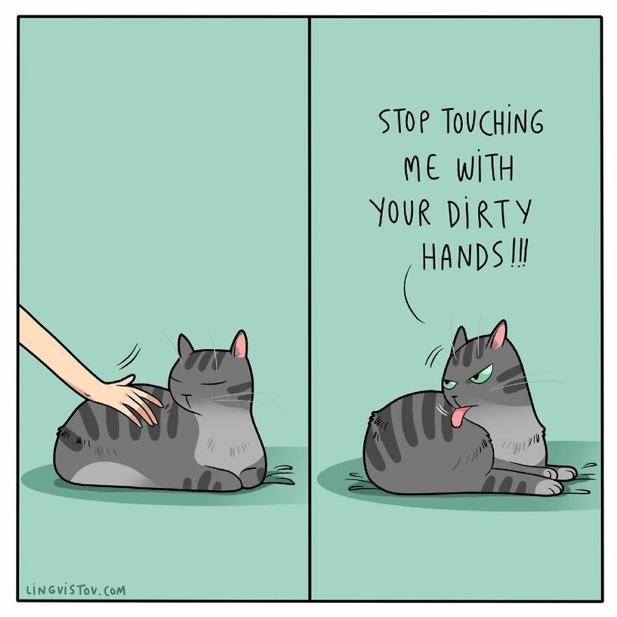 Comics That Those With A Cat Will Understand Perfectly (86 New Pics)