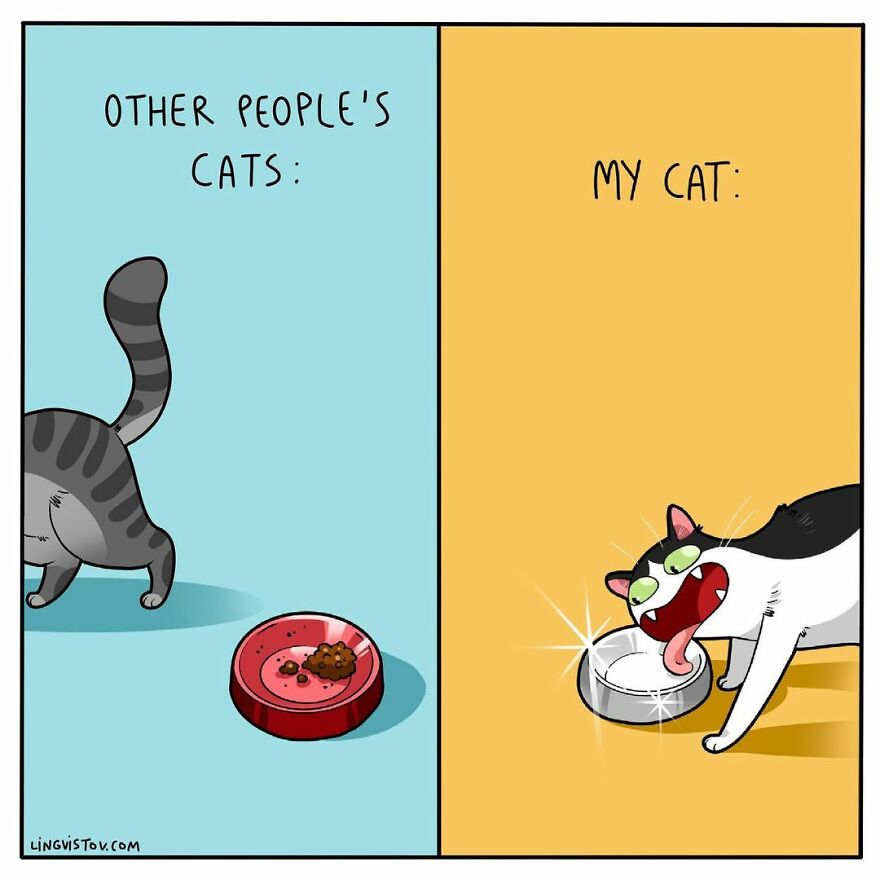 Comics That Those With A Cat Will Understand Perfectly (86 New Pics)