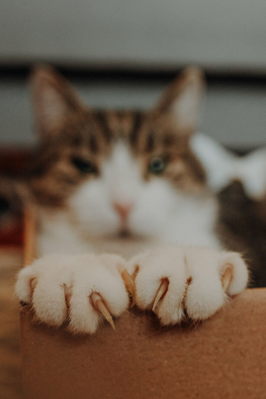 I Capture Beautiful Emotions Of My Two Favorite Models