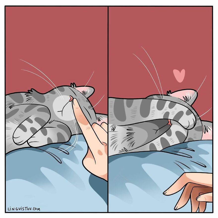 Comics That Those With A Cat Will Understand Perfectly (86 New Pics)