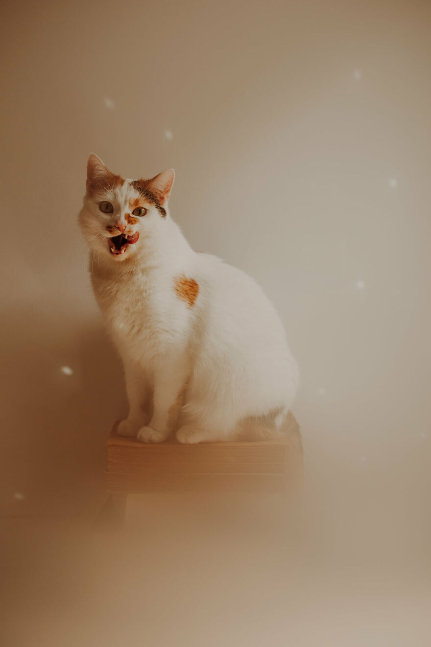 I Capture Beautiful Emotions Of My Two Favorite Models