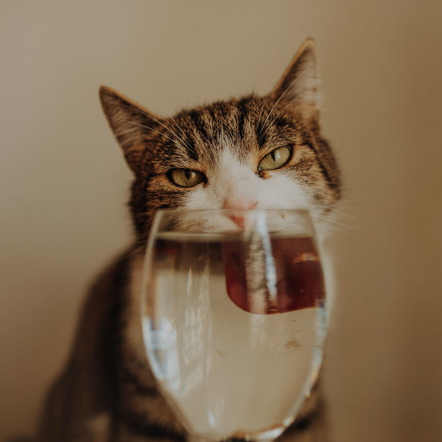 I Capture Beautiful Emotions Of My Two Favorite Models