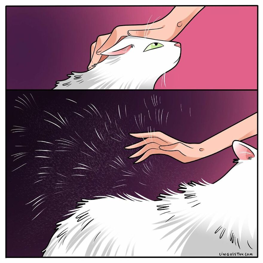 Comics That Those With A Cat Will Understand Perfectly (86 New Pics)