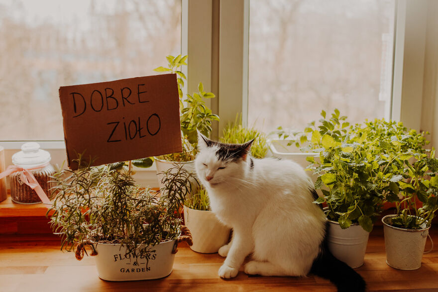 I Capture Beautiful Emotions Of My Two Favorite Models